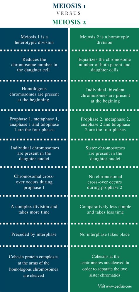 Difference Between Meiosis 1 and Meiosis 2.